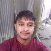 Md Hasan ali,