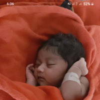 al mamun mondal