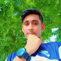 Pallab barai