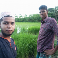 Naeem Sikder