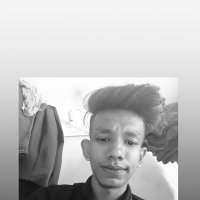 saha shaun