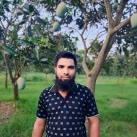 MD SAYED ALI