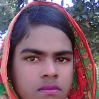 Mst. Sima Chowdhury