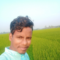 gm saqlain
