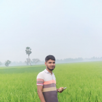 SMMazid