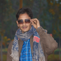 prodip71