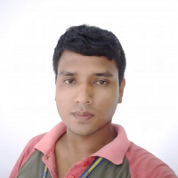 Shushil Ray