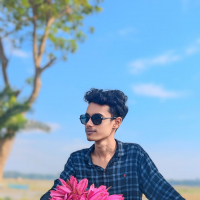 Best Fardin