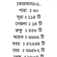 Mahmud nadim