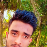 Aynal300