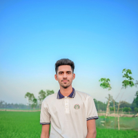 hk hannan
