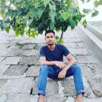 ariful Islam raj