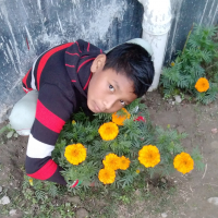 Adhir Chandra roy