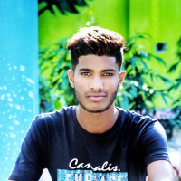 SAFINUR ISLAM