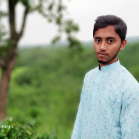 bayzid hossain