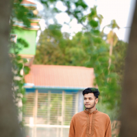 Abir Ali