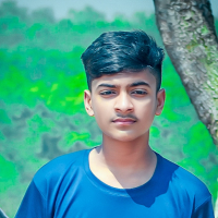 romanhasan@gmail.com