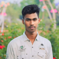 Ashraful Islam Jibni