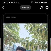 Sb nilloy.