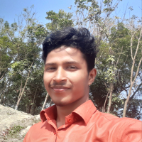 Md Al Mamun  Biswas