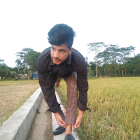 মিনহাজ হোসেন