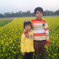 Md Moksasedul Momin
