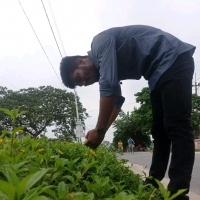 Tonmoy Roy Jibon