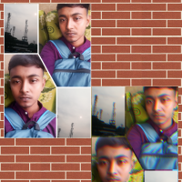 Mst Amena Begum