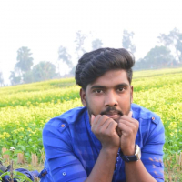 Noyon397