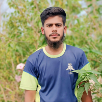 jahidmdjahidulislam