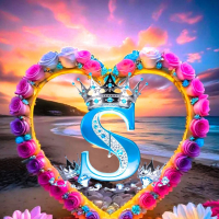 s m shahinur rahman