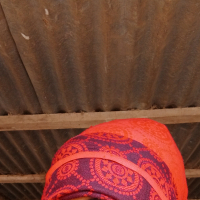 MD musa sikdar
