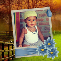 Al Habib