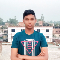 MD. Rabiul Alom