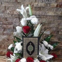 Sazzad SR