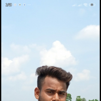 simulation