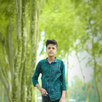 sm Mehedi 0987654321