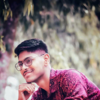 Raisul Islam Rizvy