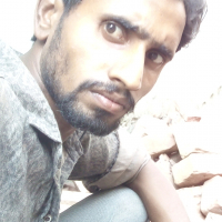 alamin.islam