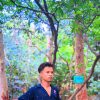Biplobbhai