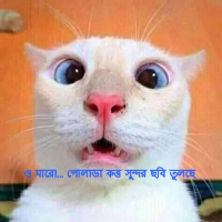 Conock