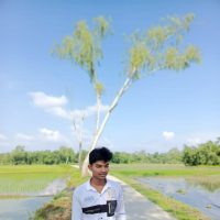 nayeem2008